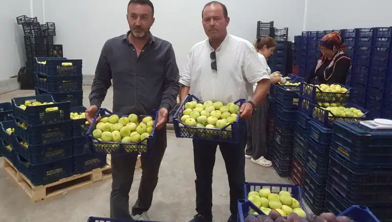 Mersinli Çiftçilere Hayal Ettikleri Fiyat: Tanesi 20 TL’den İhraç Ediliyor!