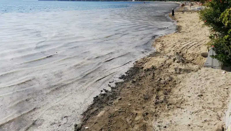 İstanbul'da Müsilajla Mücadele: 268 İşletmenin Faaliyetleri Durduruldu