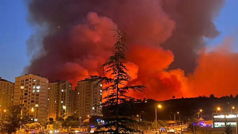 Bursa’da Yangınlar Şehri Tehdit Ediyor: Nedenleri ve Sonuçları