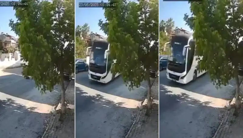 Yolda Yatan Köpeği Ezip Geçen Sürücüye Tepkiler Çoğaldı