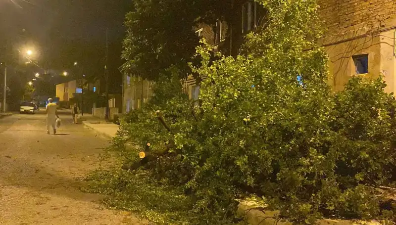 Karabük'te Fırtına Esnasında Yaşanan Korkunç Olaylar ve Zararlar