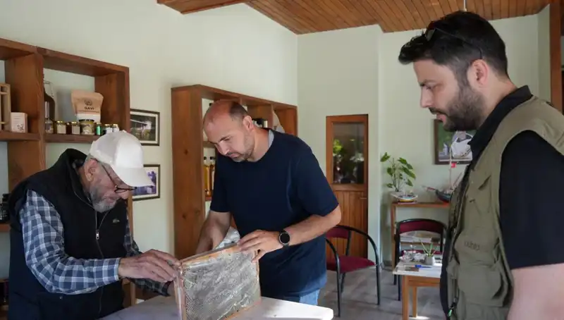 Hem Şifa Hem Zehir: 1 Çay Kaşığından Fazlası Zararlı