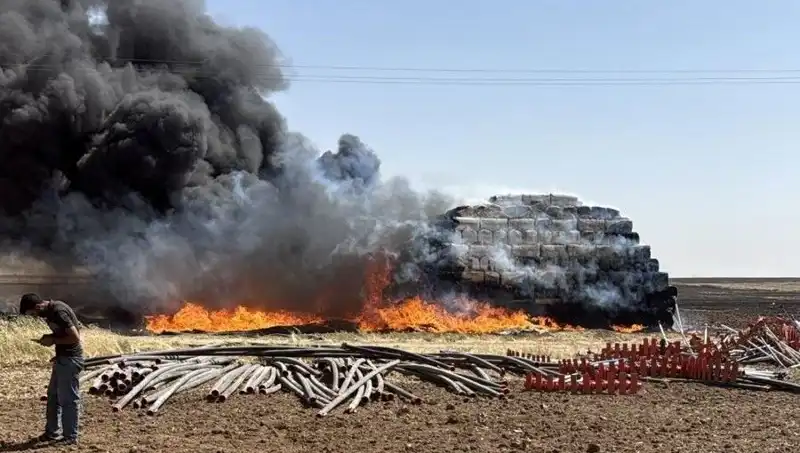 Mardin’de Anız Yangını Canımızı Yaktı: Çiftçiler ve Doğa Zarar Gördü