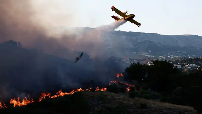 Sakız Adası'ndaki Orman Yangını Kontrol Altına Alındı: Doğa Yeniden Canlanıyor