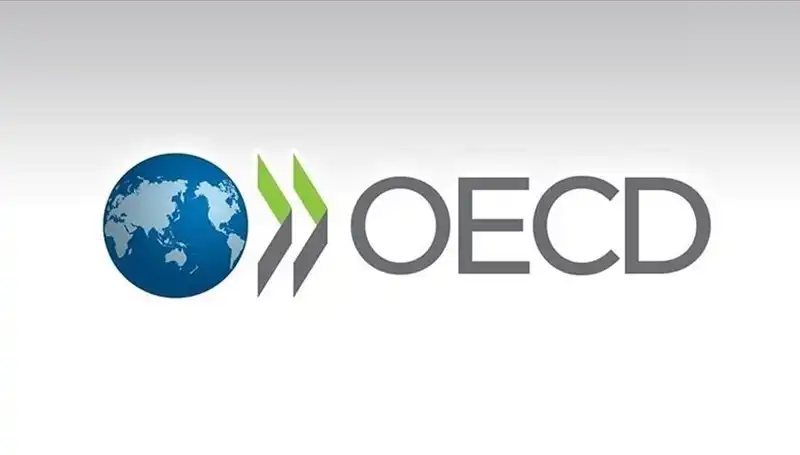 OECD Türkiye'nin 2023 Büyüme Tahminini Ne Yönde Güncelledi?