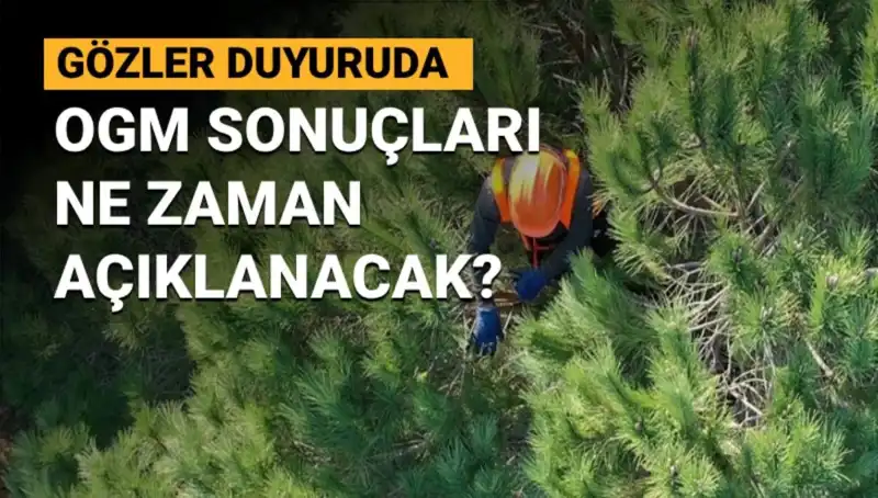 OGM Personel Alım İle 3 Bin 477 Yeni İstihdam Fırsatı Sunuyor