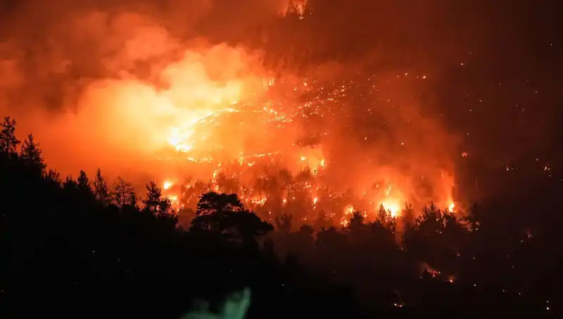 Bursa-Balıkesir Sınırında Yangın: Doğa Dostu Ekipler Mücadele Ediyor