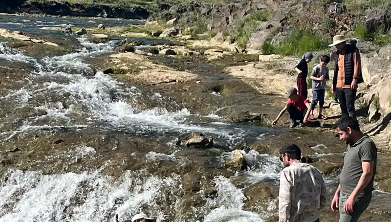 İnci Kefali’nin Göçü: Doğanın Harikası Binlerce Turisti Ağırlıyor