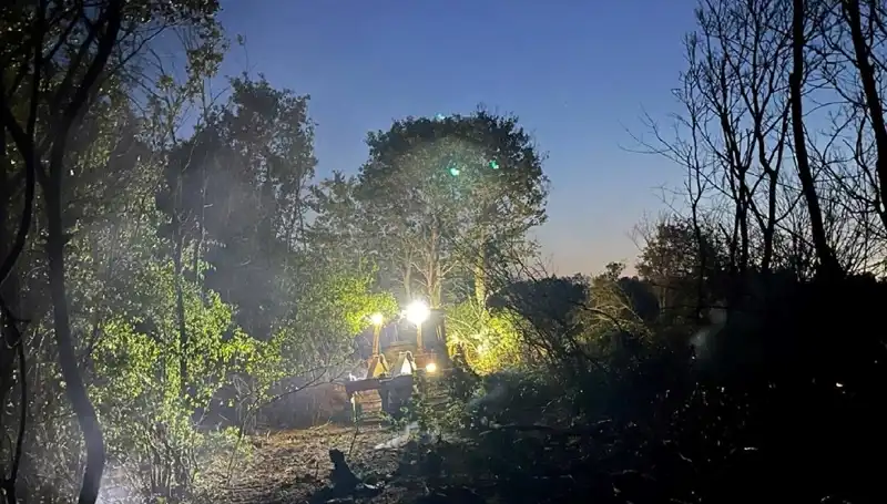 Edirne'deki Orman Yangını Kontrol Altına Alındı: Son Durum ve Kayıplar