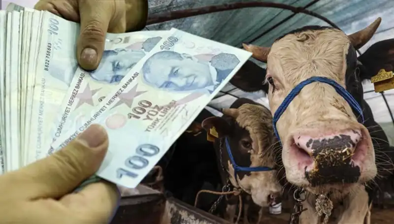 Emekli ve Memur Maaşları Kurban Bayramı’ndan Önce Yatacak mı?