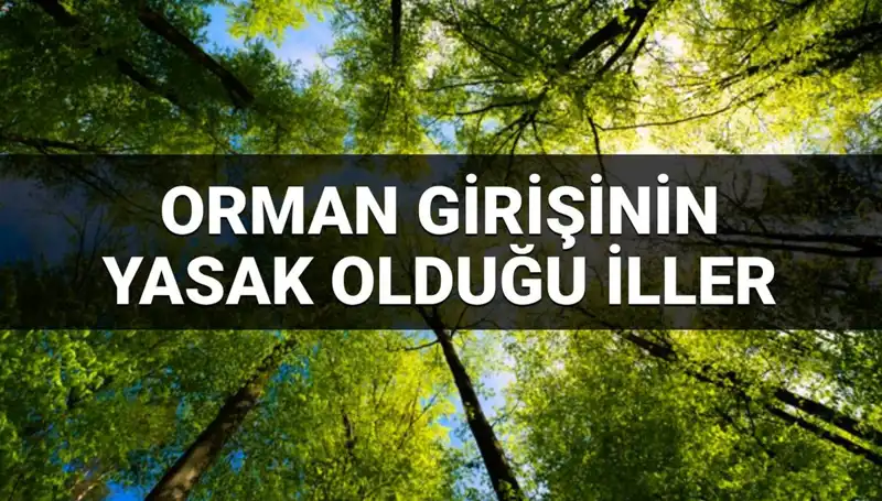Türkiye’nin Hangi İllerinde Ormana Girmek Yasak? 2025 Güncel Liste