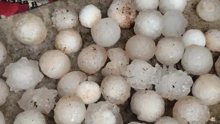 Şanlıurfa'da Beklenmedik Kar Topu Büyüklüğünde Dolu Alarmı